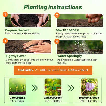 Outsidepride Austrian Winter Peas Seeds for Planting – 5 lbs Bag (Cool-Season Cover Crop, High-Protein Deer Food Plot Seed) Field Peas, Cover Crop Seeds, Spring Mix for Soil Health & Forage