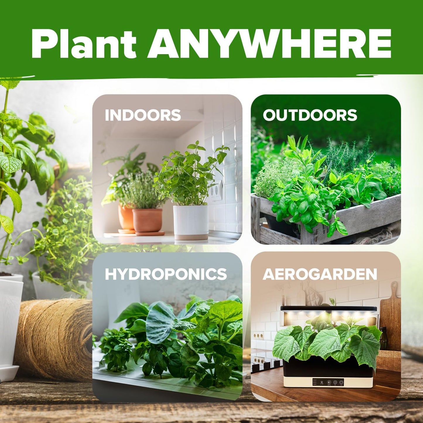 HOME GROWN 6 Herb Seeds for Planting 3,200+ Non-GMO Heirloom Seeds | Extra Large Variety Pack Herb Kit – Indoor Outdoor & Hydroponic | Culinary Seed Set | Grow Your Own Herbs | Gift for Beginners
