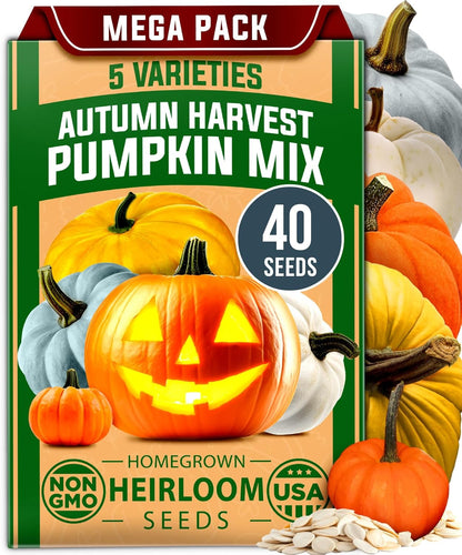 HOME GROWN 𝗨𝗦𝗔 𝗣𝗥𝗘𝗠𝗜𝗨𝗠 5 Pumpkin Seeds Mix - 40 Seeds 𝗡𝗢𝗡-𝗚𝗠𝗢 Heirloom Pumpkin for Planting Ideal Garden for Unique Varieties Yellow Paris and Casper, Culinary and Decorative Use