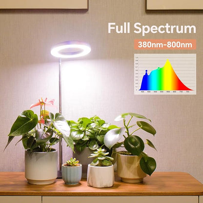 Desktop Grow Light, Height Adjustable Grow Lights for Indoor Plants Full Spectrum, 3 Lighting Mode, Halo Grow Light with Timer, Plant Lights for Indoor Growing (Black)
