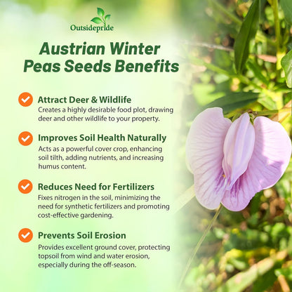 Outsidepride Austrian Winter Peas Seeds for Planting – 1 lbs Bag (Cool-Season Cover Crop, High-Protein Deer Food Plot Seed) Field Peas, Cover Crop Seeds, Spring Mix for Soil Health & Forage