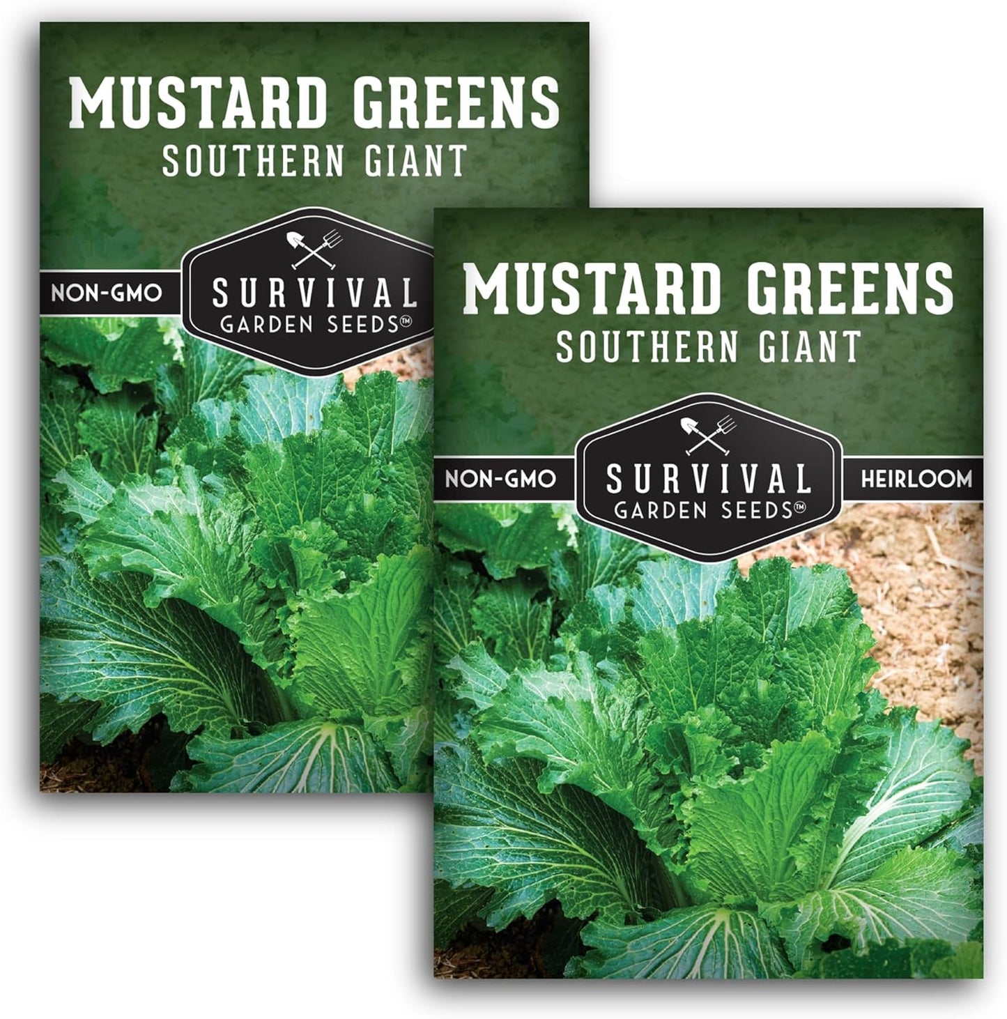 Southern Giant Mustard Green Seeds for Planting – Heirloom Non-GMO Spicy Greens, Heat Tolerant and Slow to Bolt for Home Vegetable Gardens - Survival Garden Seeds (2 Packs)