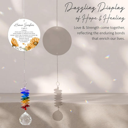 Thank You Gifts Human Sunshine Definition - Inspirational Rainbow Maker - Appreciation Keepsake - Positive Message for Nurses Teachers Volunteers Friends Family