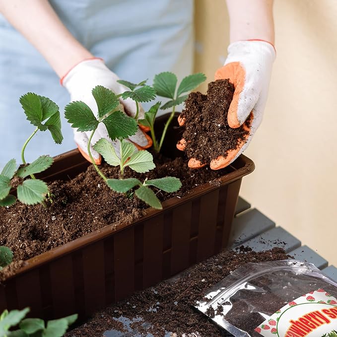 Organic Strawberry Soil Mix 1qt, Indoor Plants Potting Mix for All Potted Strawberry, Grow Healthy houseplants Indoors