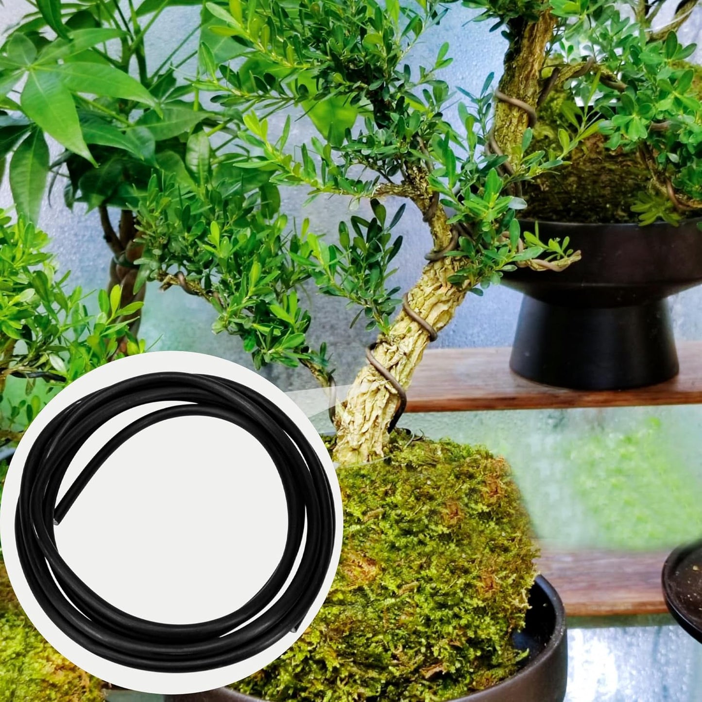 Black Bonsai Training Wire Aluminum 8mm Diameter – Anodized Aluminium Roll for Tree Branch Fixing, Plant Shape Sculpting, Bendable Solid Accessories for Floral Stems, Crafting Garden & Landscape 500g