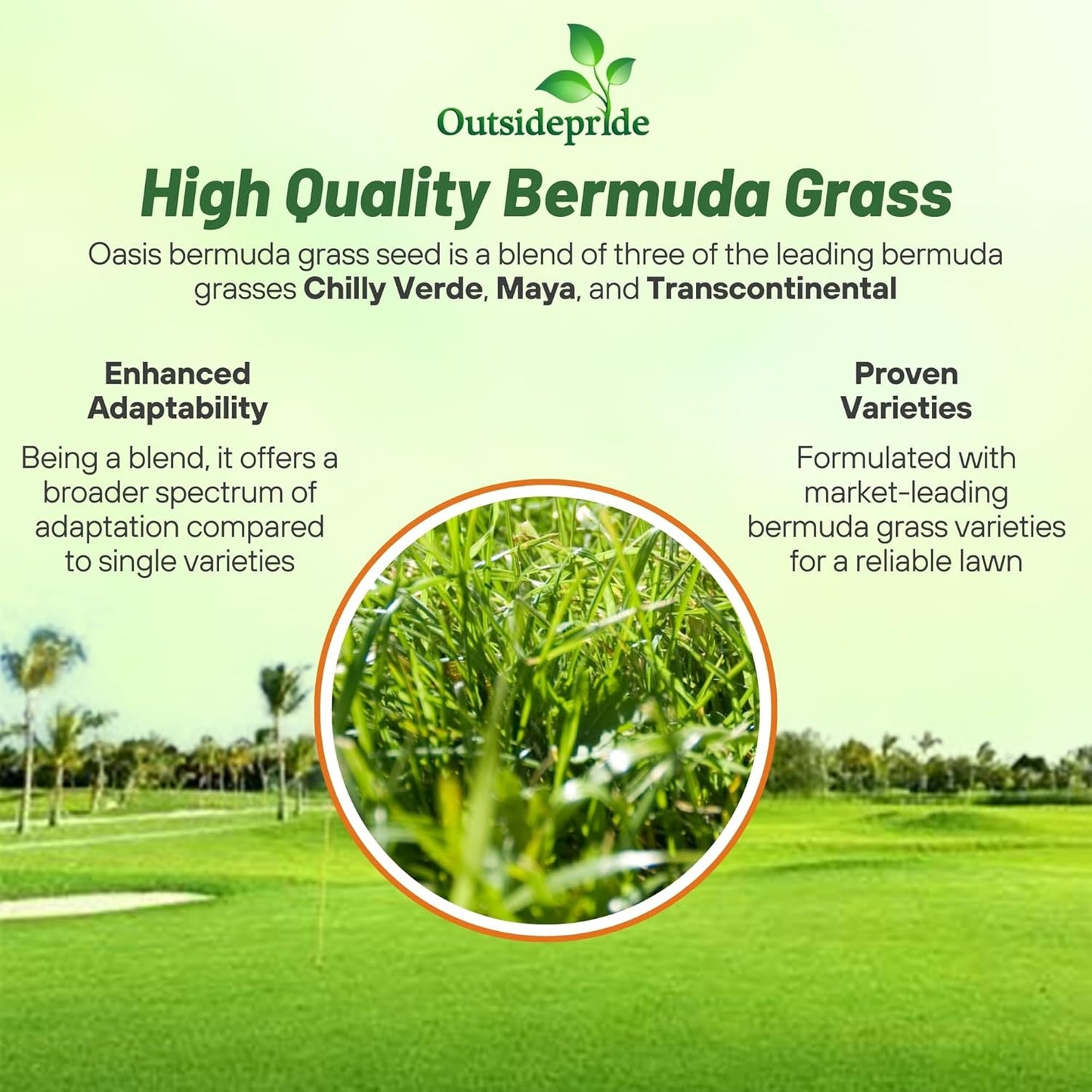 Outsidepride Oasis Bermuda Grass Seed - 10 lbs Warm Season, High Traffic, Heat Resistant, Drought-Tolerant, Low-Maintenance, Fast Growing Turf Grass for Lawn, Ideal for Sunny Areas, Thick Coverage