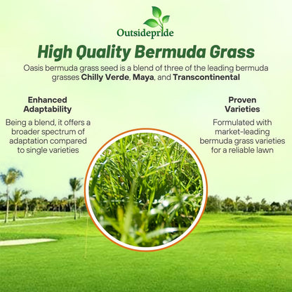 Outsidepride Oasis Bermuda Grass Seed - 10 lbs Warm Season, High Traffic, Heat Resistant, Drought-Tolerant, Low-Maintenance, Fast Growing Turf Grass for Lawn, Ideal for Sunny Areas, Thick Coverage