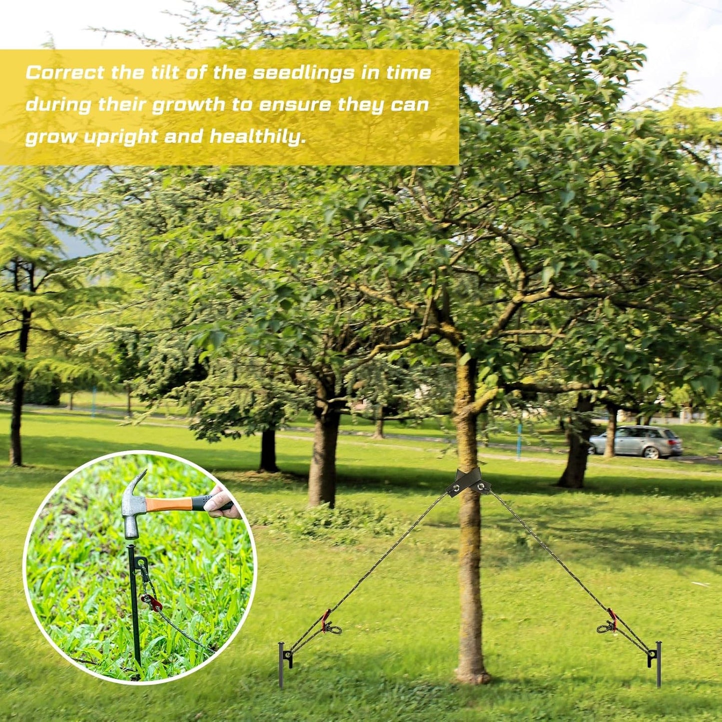 Sintuff 36 Pcs Heavy Duty Tree Stake Kits Stake and Support for Young Leaning Tree Anchor Straightening Kit, 15.8'' Support Straps, 11.8'' Steel Stakes, 13.12ft Rope(Army Green)