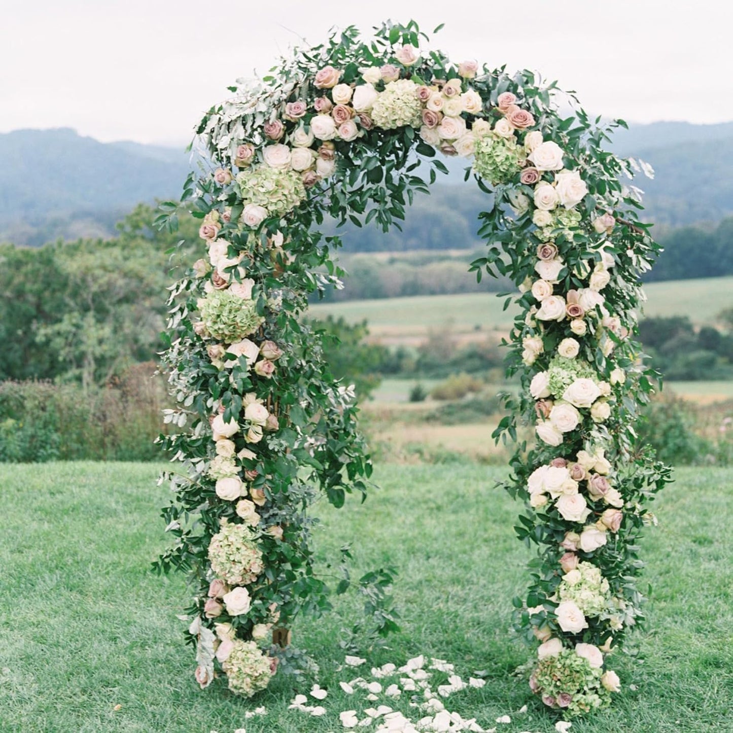 Garden Arch Trellis Metal Garden Arbor for Various Climbing Plant, Wedding Arches for Ceremony Decoration Outdoor Lawn Backyard, 7'8" H x 4'5" W, Dark Green