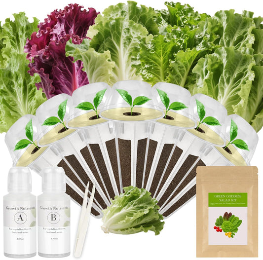 Green Goddess Salad Seed Pod Kit for AeroGarden, idoo, Ahopegarden, MUFGA with Red Romaine/Green