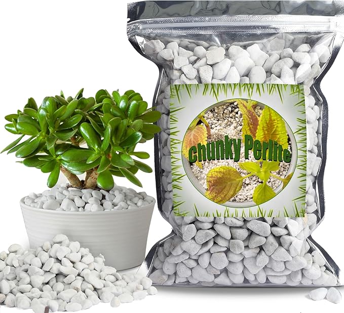 Organic Chunky Perlite for Plants (0.4"-0.8" in Diameter), Natural Horticultural Soil Additive Conditioner Mix, Improve Drainage and Ventilation, Enhance Soil Health and Root Growth (4 Quarts)