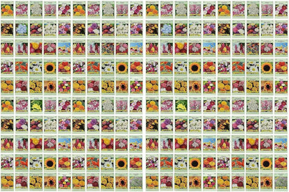 Set of 200 Flower Seed Packets - Flower Seeds in Bulk - 15 or More Varieties Available - Great for Creating Colorful Gardens (200)