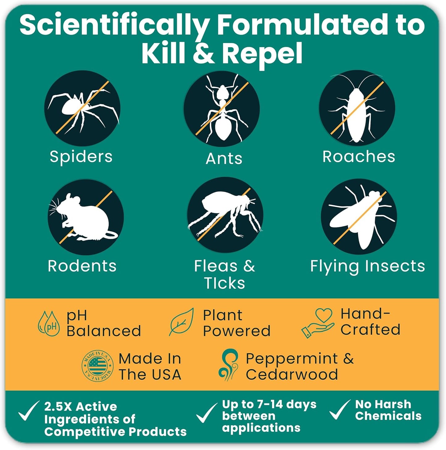 Home Guard - Peppermint Insect & Pest Control Spray - Natural Peppermint Oil Spray For Bugs - Plant-Based Indoor & Outdoor Spider Spray - Safe Around Kids & Pets - Ant Killer - Cockroach Killer - 16oz