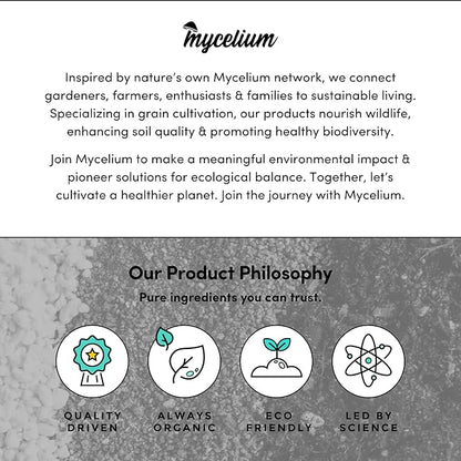 Mycelium Plus CVG Substrate with Proprietary Blend - Organic CVG with Cultivation Enhancer - Ideal for High Yield Dung-Loving Mushroom Cultivation - Sterilized 10LB Bag for Beginners & Pros