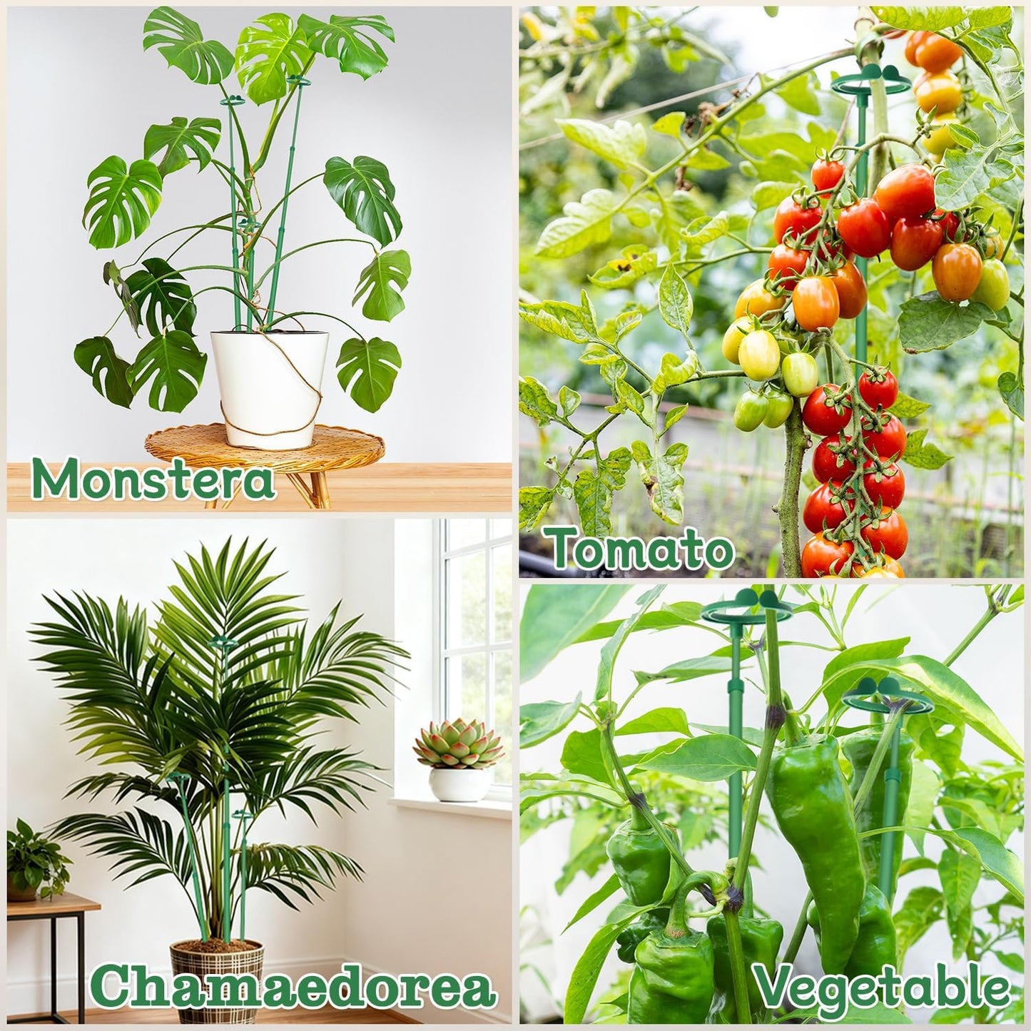 Extendable Plant Stakes,Adjustable Length from 17.9IN to 42.3IN Monstera Support Stakes with Clips,Sturdy Plant Stakes for Indoor Outdoor,Garden Sticks for Tomato,Orchid,Climbing Plants- 3Pack
