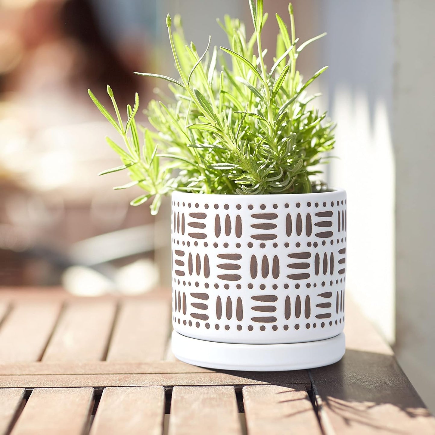 D'vine Dev Set of 2 Ceramic Planter Pots with Drainage Hole and Saucer, 4.5 Inch Plant Pots for Plants Indoor Houseplants, White, 99-Z-F-1-V