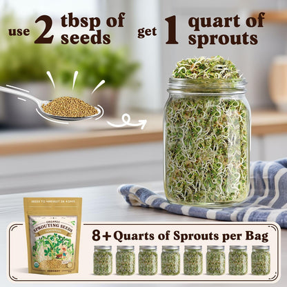 Seedboy Organic Non-GMO Fenugreek Seeds for Sprouting - Microgreens Sprouting Seeds - 8 oz Bag Makes 8 Quarts / 24 Servings (Fenugreek)
