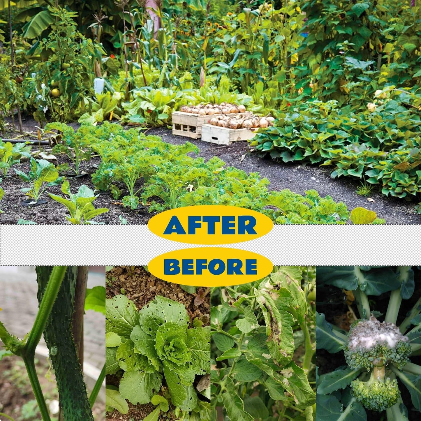 Garden Hoops and Mesh Netting Kit, Ultra Fine,Pest-Proof Cover 36Pcs Garden Tunnel,Plant Covers 8x24 Ft Netting &30 Clips &10Sets of Ground Stakes for Vegetable,Greenhouse Row Cover (Medium)