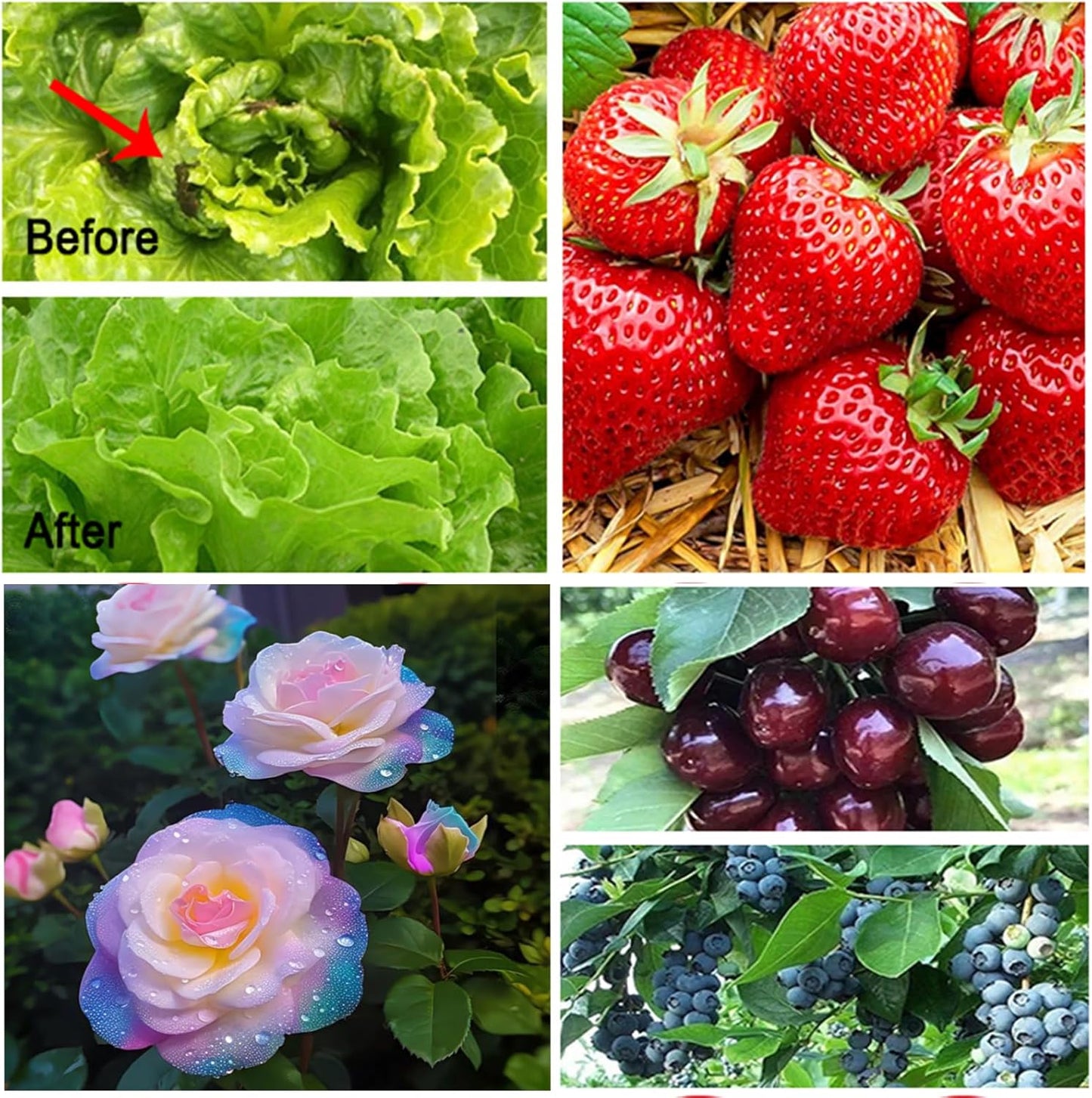 Garden Netting, 10x33Ft Ultra Fine Mesh Netting Pest Barrier Protection Bird Mosquito Net Plants Cover for Vegetables Fruits Flowers Crops Greenhouse Row Cover Raised Bed Patio Mesh Netting