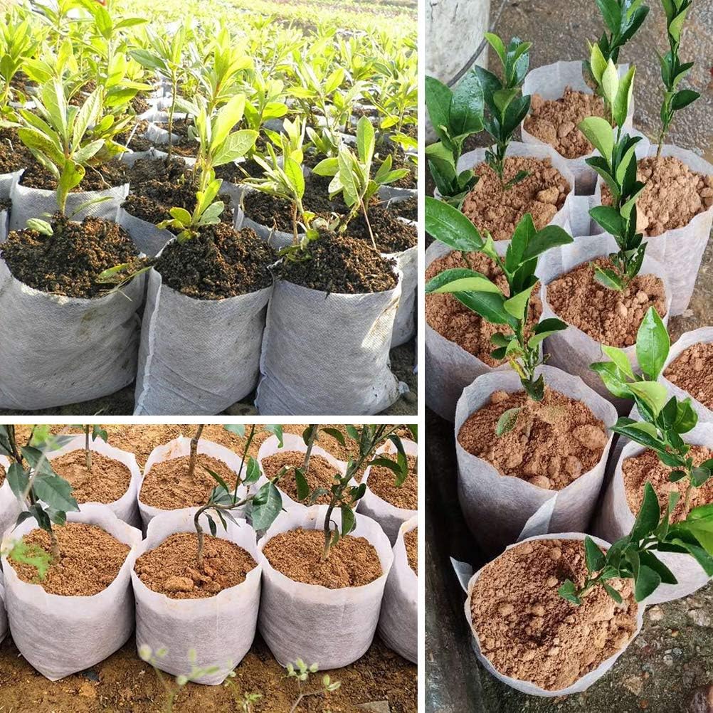 Belit Large Non-Woven Plant Nursery Bags, 30 Pcs Grow Bags Seedling Pots Container for Tree,Vegetable, Flower, Plant Grow (12.6"x13.4")