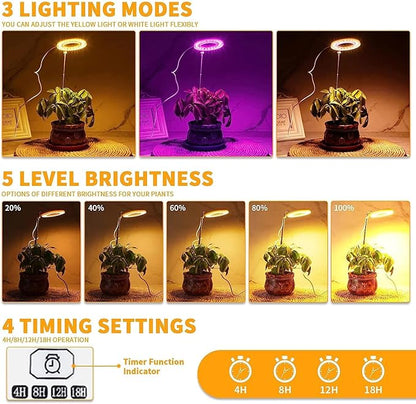 Juhefa Grow Light for Indoor Plants Growing, 4000K White Full Spectrum Halo Plant Lamp for Seedlings Succulents Small Mini Plants, Auto On Off Timer 4/8/12/18Hrs & 3 Colors Changeable