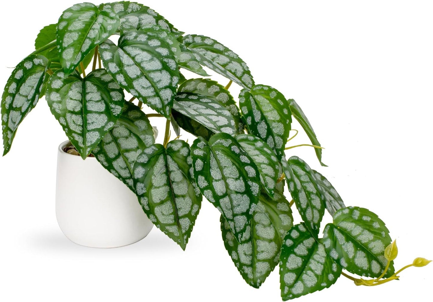 DILATATA Fake Plants Indoor 8 Inch Artificial Watermelon Plant in White Ceramic Pot - Faux Potted Pothos Plant for Home Aesthetic Decor Living Room Shelf Office