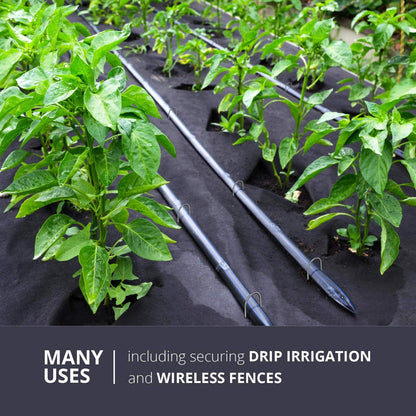 Sandbaggy Galvanized 6 Inch Round Top Landscape Staples ~ SOD Garden Stakes for Drip Irrigation Tubing & PVC Piping - Trusted by Farmers & Contractors Across USA (1,000 Staples)