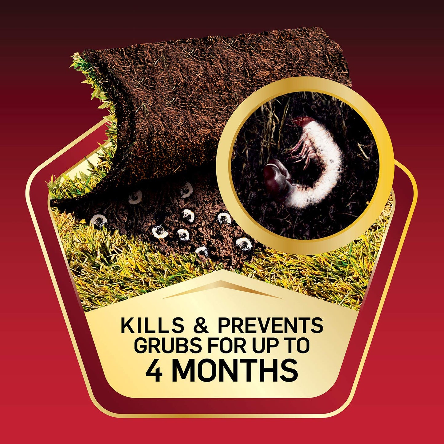 Scotts GrubEx1 Season Long Grub Killer - Kills and Prevents for Up to 4 Months, Treats 10,000 sq. ft. (2-Pack)