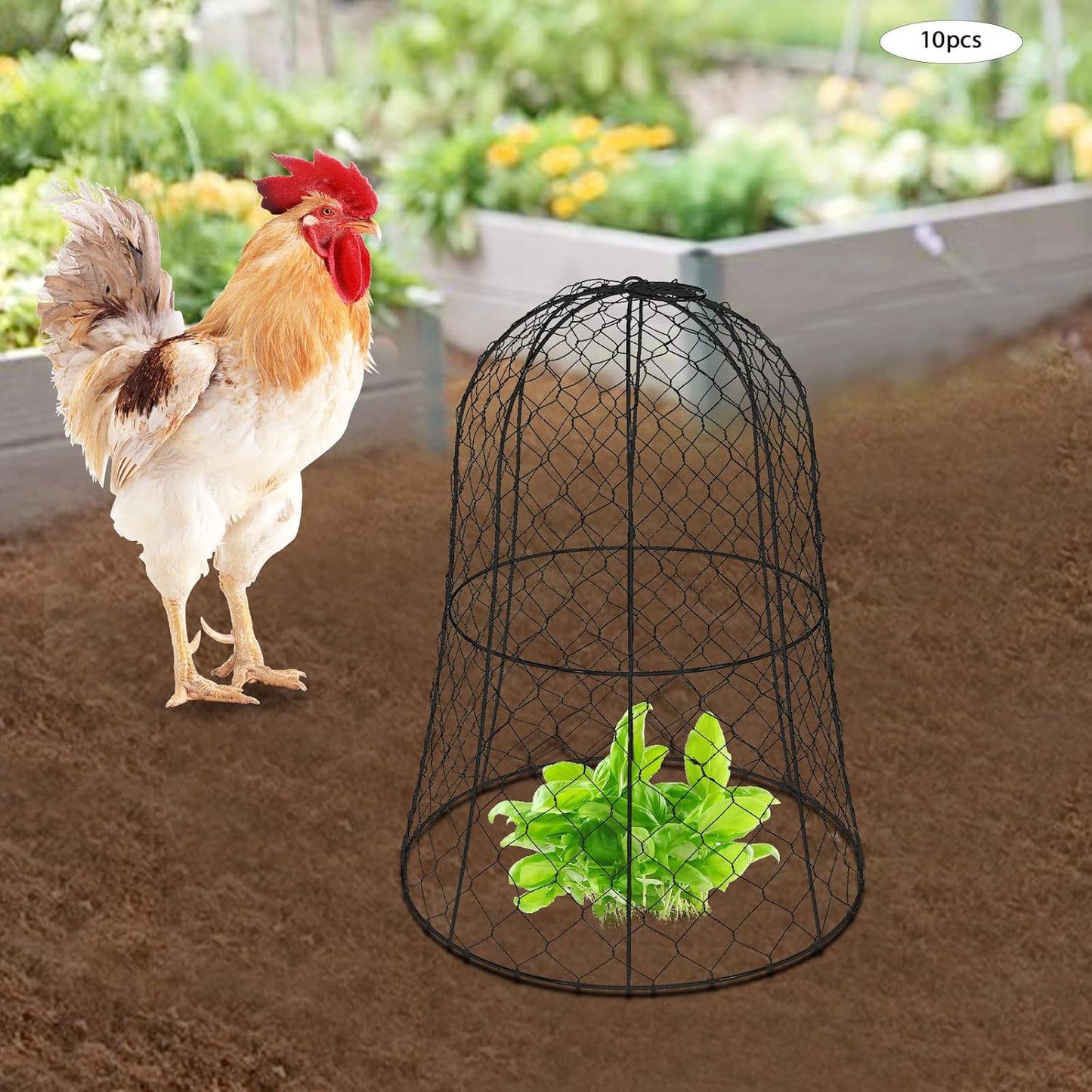 10 PCS Garden Chicken Wire Cloche,13" Diameter x 15.7" Height Large Plant Protector Cover with 40 U-Shaped Ground Nails,Sturdy Metal Cage for Keep Animals Out Garden (Black)