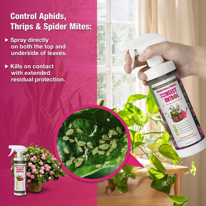 EcoVenger (by EcoRaider) Garden & Plant Insect Control 16 oz, Kills Aphids, Mealybugs, Red Spiders, Armyworms and Gnats All Stages and Eggs, Indoor/Outdoor, Plant-Based, Non-Toxic Child & Pet Safe