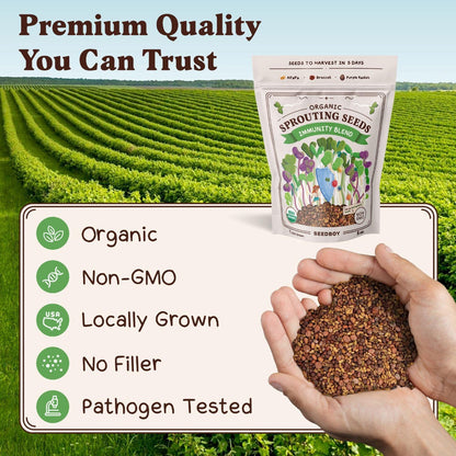 Seedboy Organic Non-GMO Sprouting Seeds, Immune System Booster - USA Grown Microgreens Mix with Broccoli, Purple Radish, Alfalfa - 8 oz Bag Makes 8 Quarts / 24 Servings (Immune System Booster Blend)