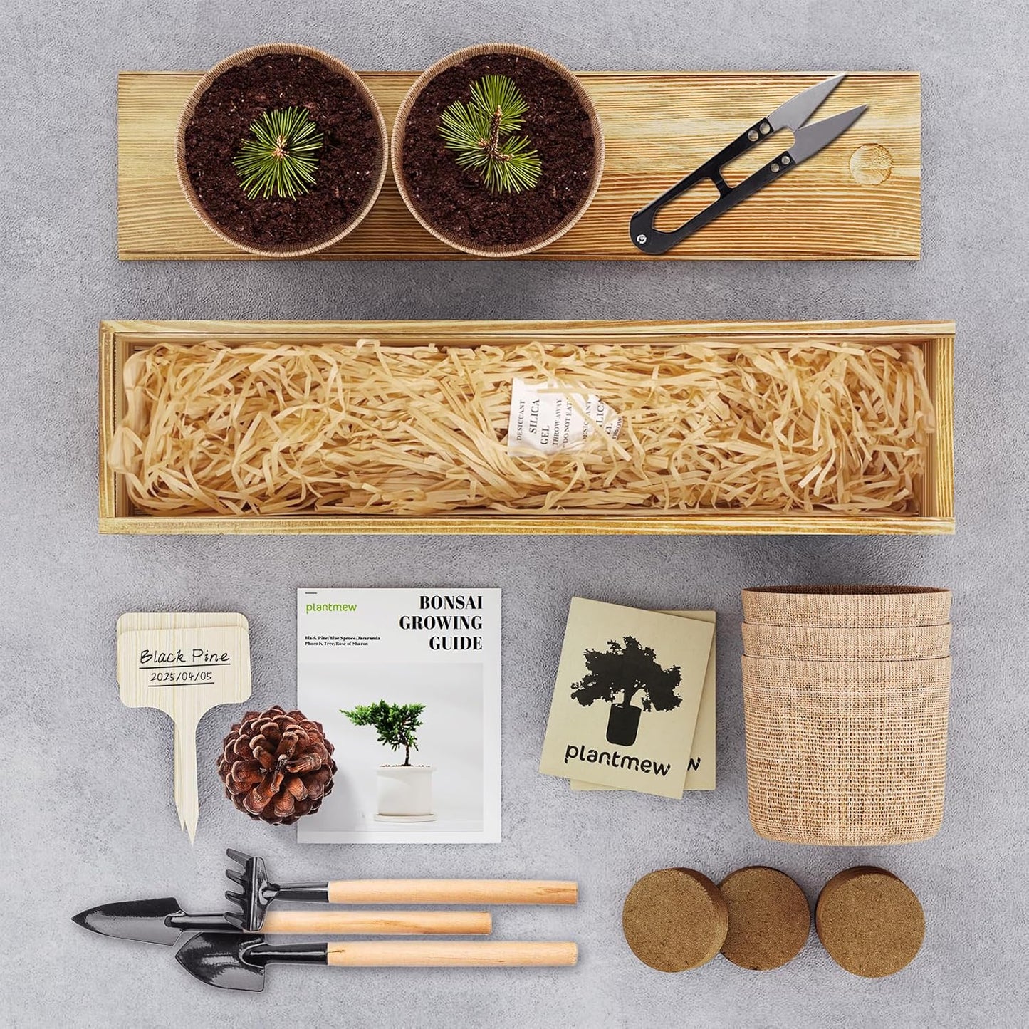 5 Pack Bonsai Tree Kit - Unique Gardening Gift Set for Plant Lovers | Complete Japanese Bonsai Starter Kit with Seeds, Tools & Planters | Ideal Christmas, Birthday Gifts for Women & Men