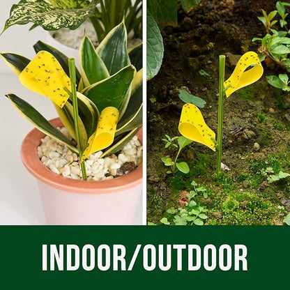 Garsum 21 Traps Sticky Houseplant Traps Gnat Yellow Insect Trap Indoor Fruit Fly Stakes Trap
