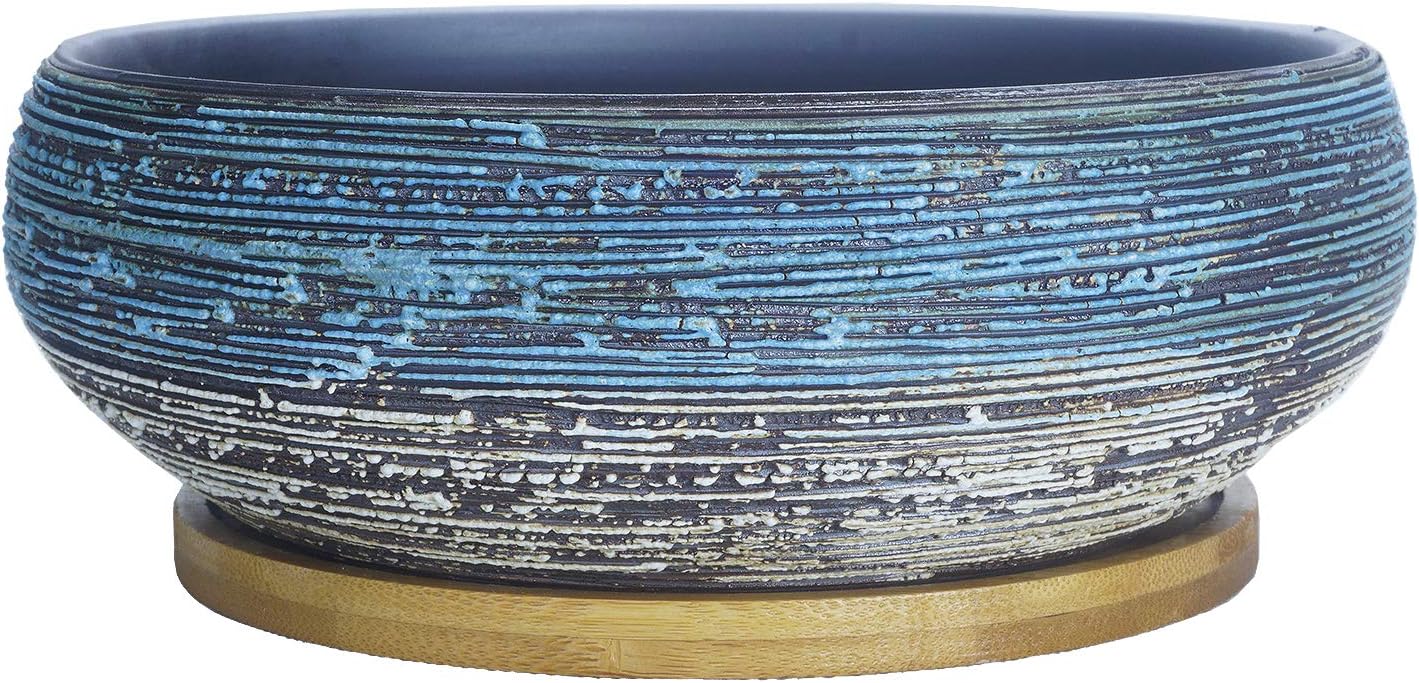 ARTKETTY Succulent Pots, 8 Inch Large Succulent Planters with Drainage Ceramic Bonsai Pot with Tray for Indoor Outdoor Plants Garden Decorative Cactus Flower Plant Container Bowl