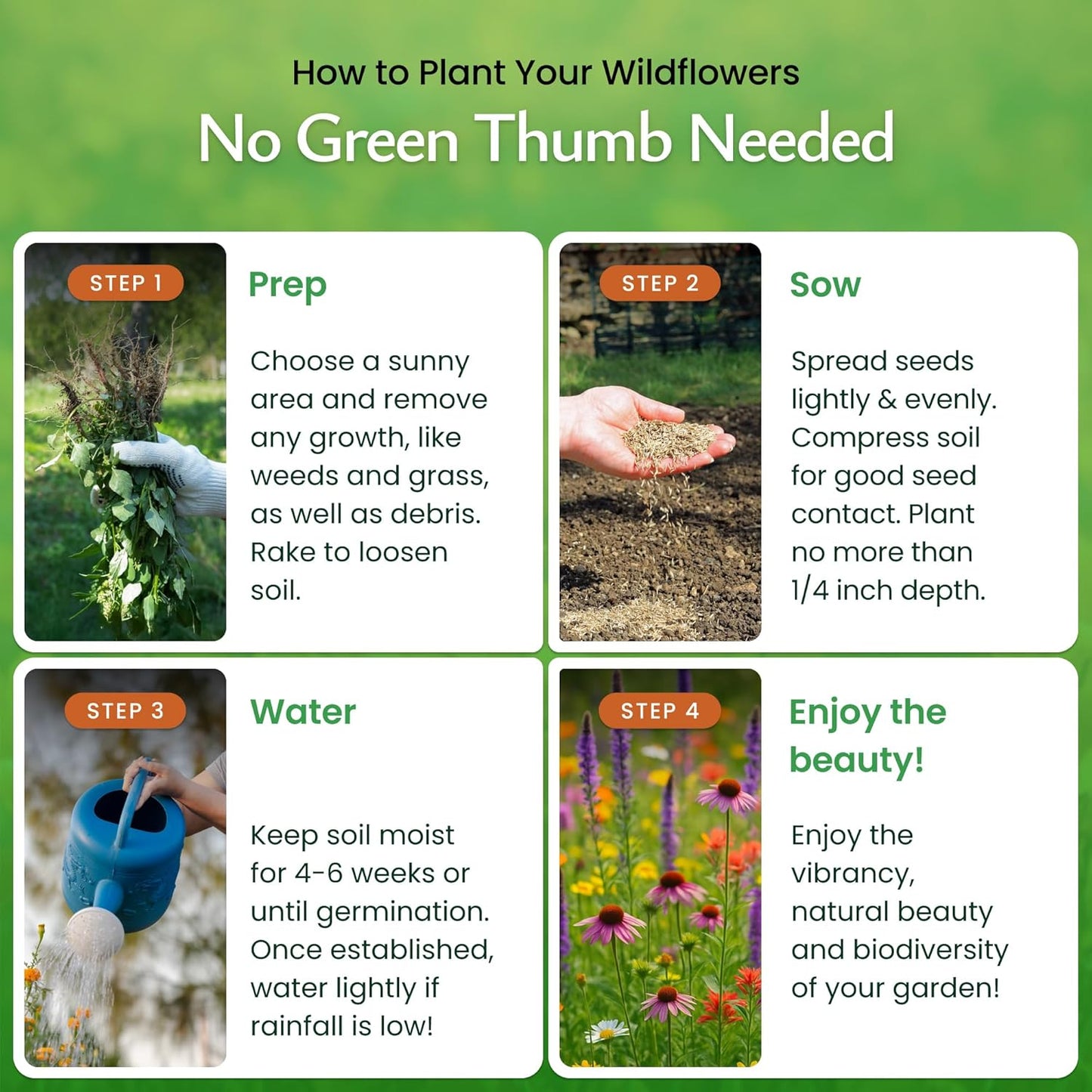 Created By Nature Tennessee Wildflower Seed Mix, 18 Flower Varieties, 35,000 Seeds