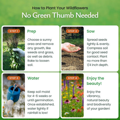 Created By Nature Tennessee Wildflower Seed Mix, 18 Flower Varieties, 35,000 Seeds