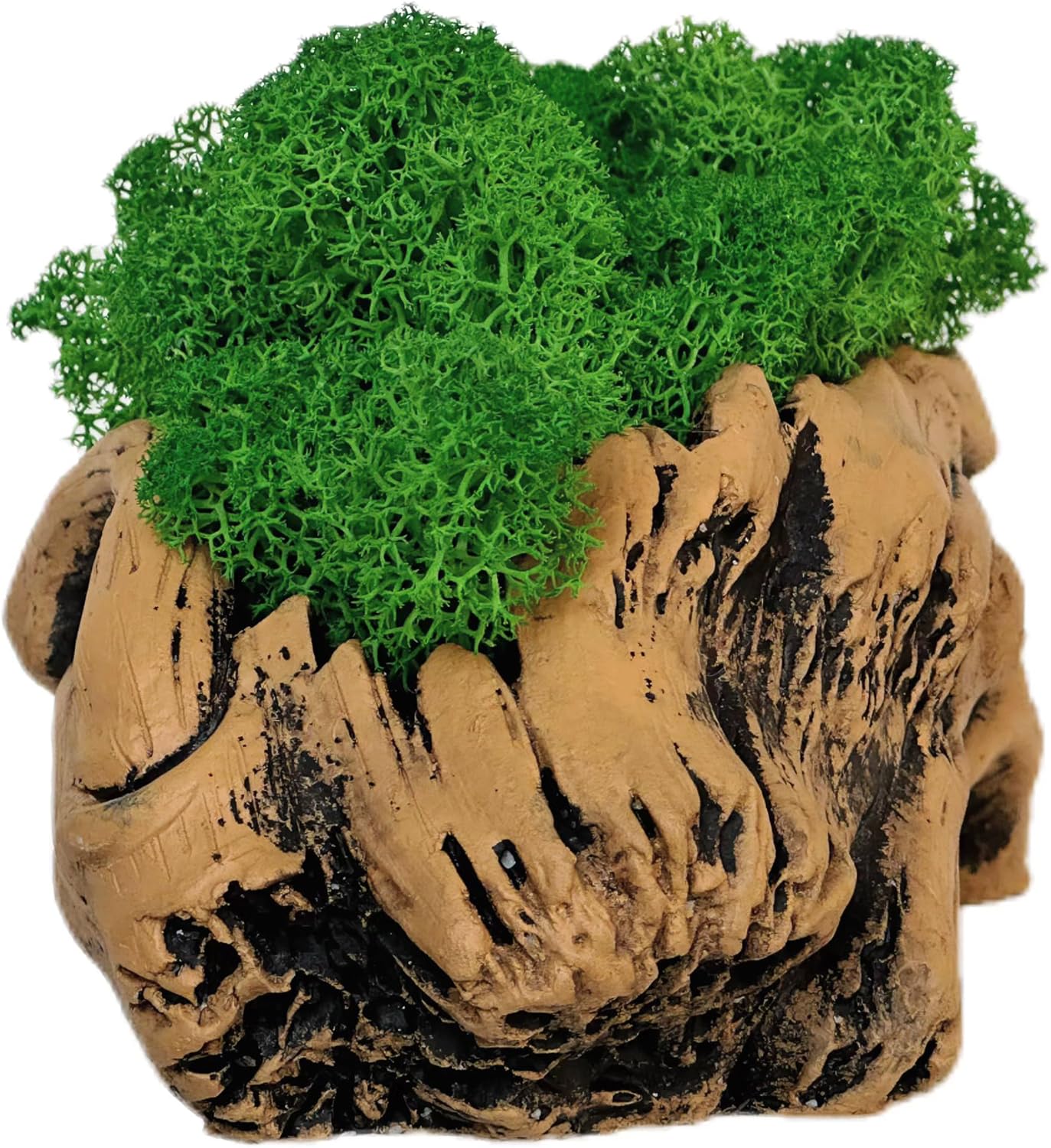 Moss Centerpiece 6in, Handmade Artificial Bonsai with Real Moss, No Maintenance