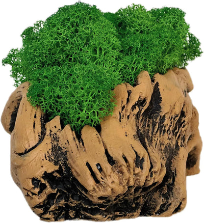 Moss Centerpiece 6in, Handmade Artificial Bonsai with Real Moss, No Maintenance