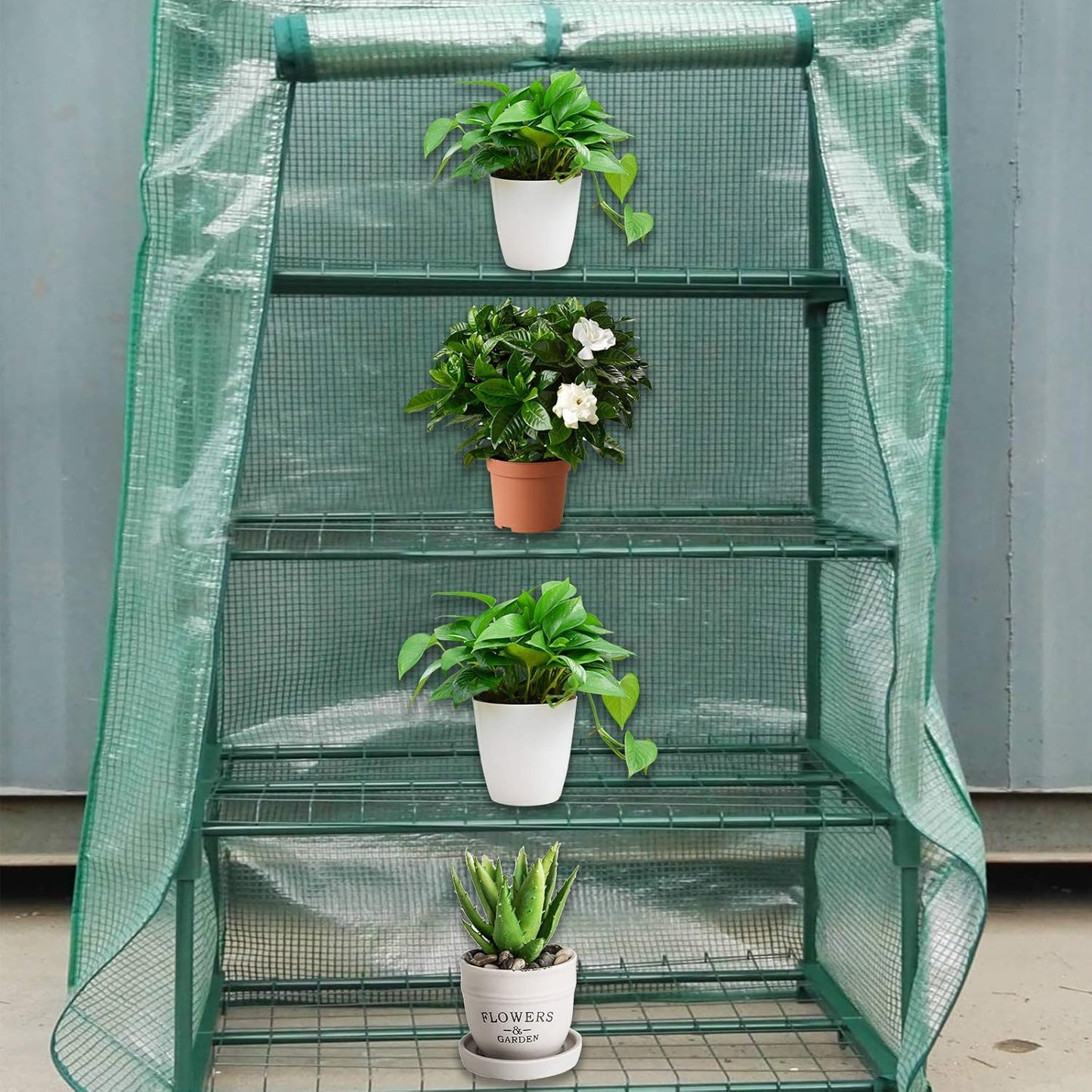 Sfcddtlg 4 Tier Greenhouse Replacement Cover, 63" x 27.2" x 19.3" PE Plant Greenhouse Cover with Roll-Up Zipper Door for Indoor Outdoor Gardening Plants Cold Frost Wind Rain Proof (Frame NOT Included)
