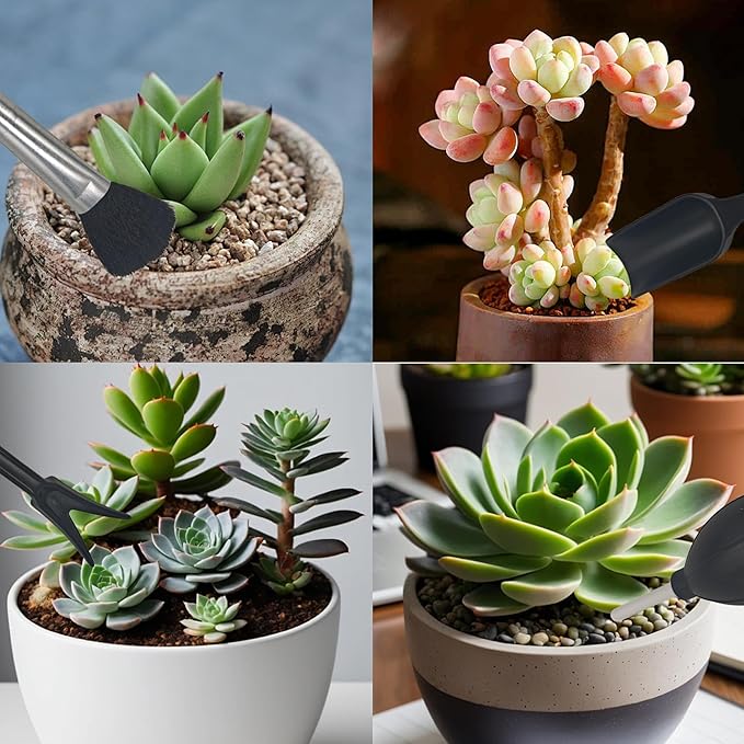 13Pcs Succulent Tools Set Mini Garden Tool Kit Transplanting Tools for Succulent Care Miniature Gardening Plant Watering Houseplant