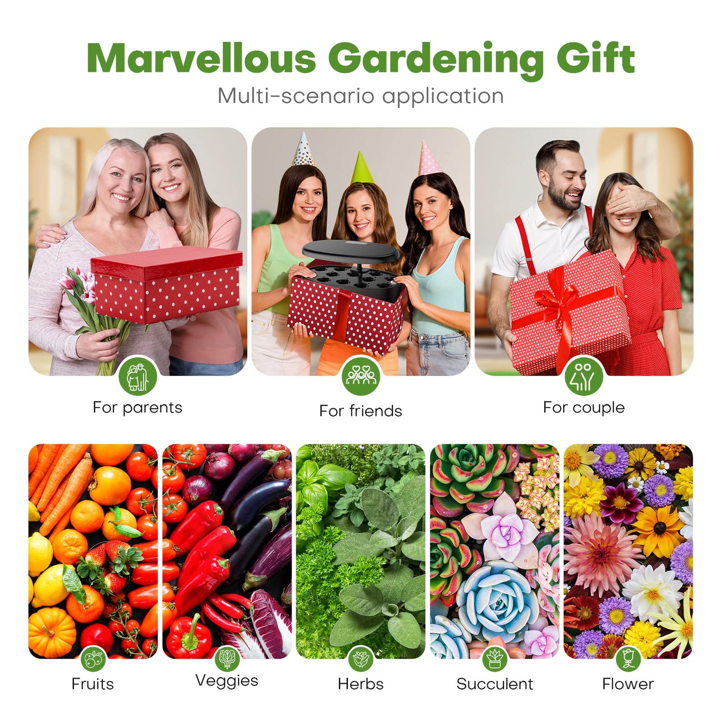 Ahopegarden Hydroponics Growing System: 12 Pods Indoor Herb Garden with LED