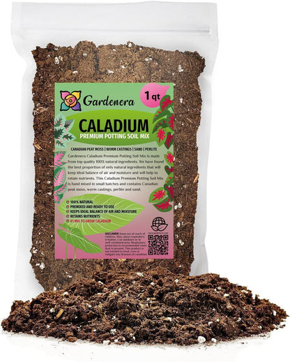 Gardenera Premium Caladium Plant Potting Mix - Crafted for Vibrant Growth and Striking Color - 1 Quart