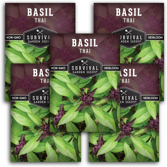 Survival Garden Seeds - Thai Basil Seed for Planting - 5 Packets with Instructions to Plant and Grow Asian Basil Indoors or Outdoors in Your Home Vegetable Garden - Non-GMO Heirloom Variety