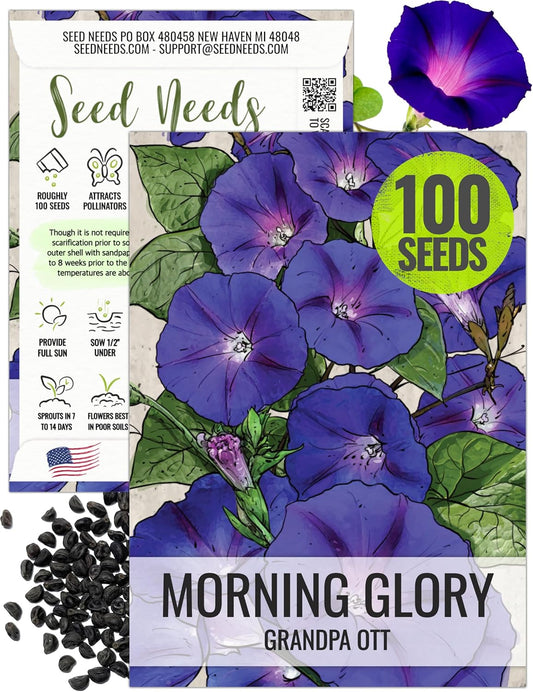 Seed Needs, Grandpa OTT Morning Glory Seeds - 100 Heirloom Seeds for Planting Ipomea purpurea - Annual Blue/Violet Blooms, Flowering Vine for a Natural Privacy Fence (1 Pack)