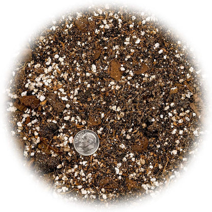 Premium Aroid Potting Mix - Soil Free Blend for Aroids - Growing Medium for House Plants by Gardenera - (3 Quart Bag)