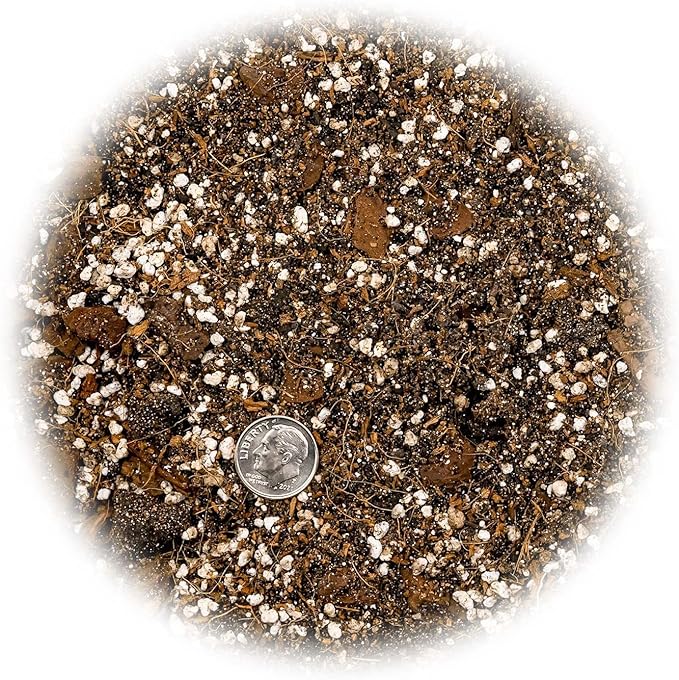 Premium Aroid Potting Mix - 10 Quart - Soil Free Blend for Aroids - Growing Medium for House Plant (2 Bags of 5 Quart)