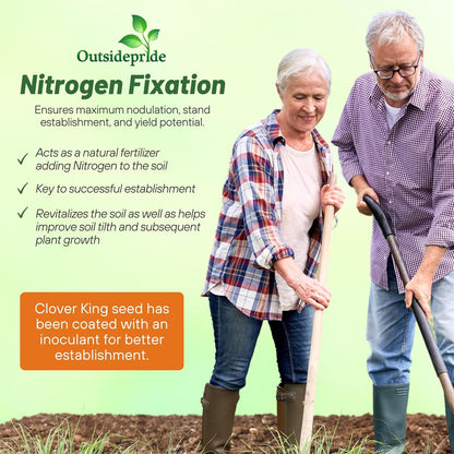 Outsidepride Perennial Clover King Seed Mix - 40 lbs Nitrocoated, Inoculated, Heat & Cold Tolerant, Alfalfa-Enhanced Food Plot Seeds for Deer & Wildlife, Ideal for Spring, Summer, & Winter Plots