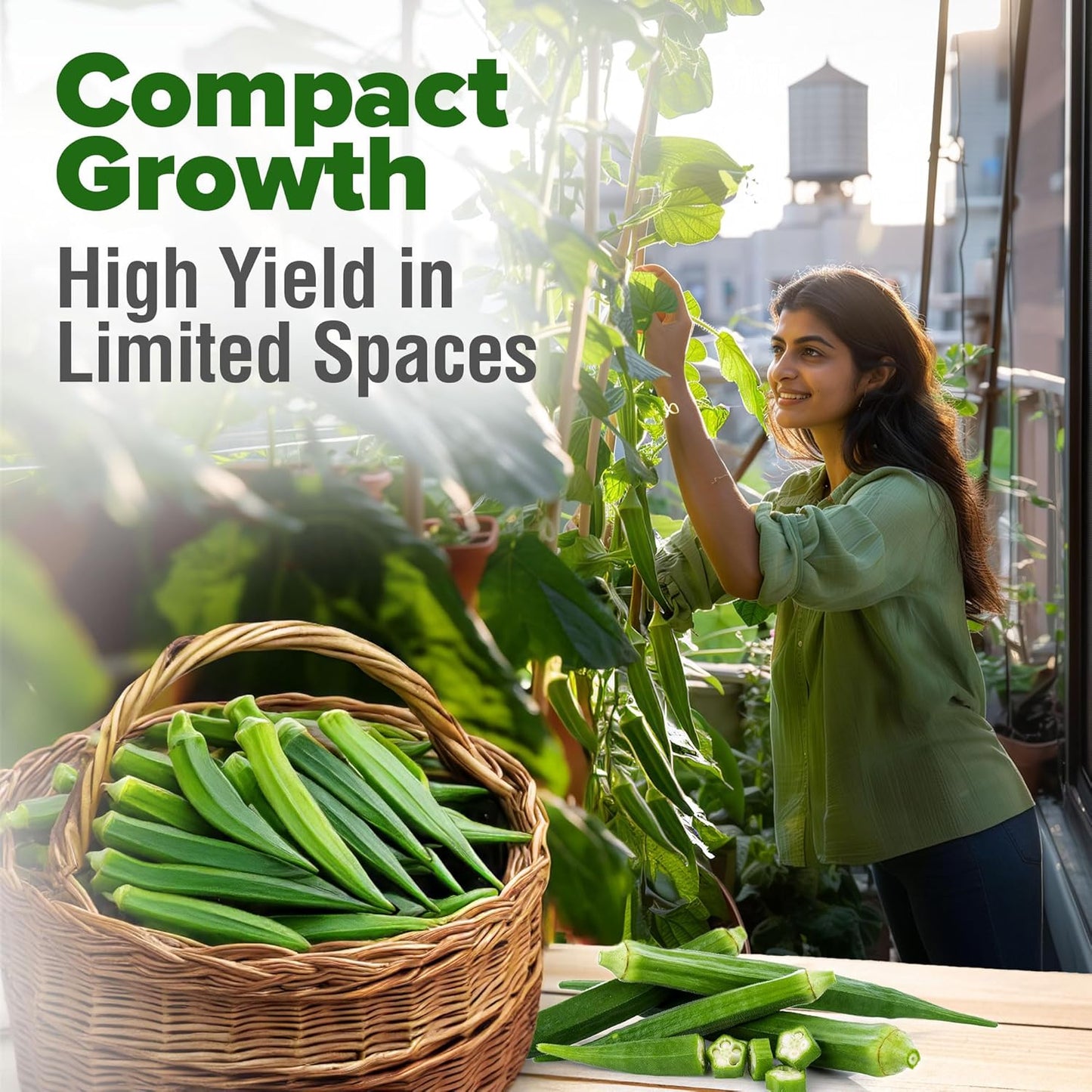 HOME GROWN 𝗨𝗦𝗔 𝗣𝗥𝗘𝗠𝗜𝗨𝗠 Clemson Spineless Okra Seeds 101+ 𝗡𝗢𝗡-𝗚𝗠𝗢 Heirloom Vegetable Seeds for Planting Easy to Grow Outdoor Summer Garden High Germination Rate (Abelmoschus esculentus)