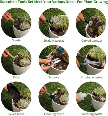 11Pcs Succulent Tools,Mini Garden Tools,Succulent Watering Tool as Plant Accessories,Succulent Gardending Hand Tools Kit for Seedling Soil,Caring Succulent,Houseplant,Gifts for Woman (No Flowerpot)