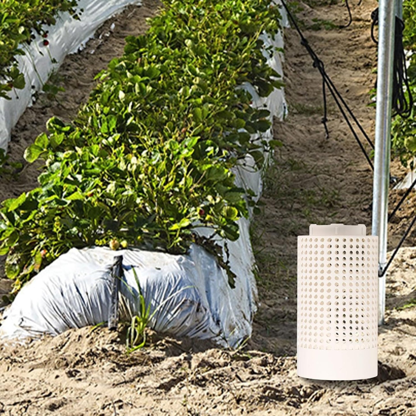 Underground Compost Bin for Sustainable Gardening and Efficient Waste Disposal (160mm)
